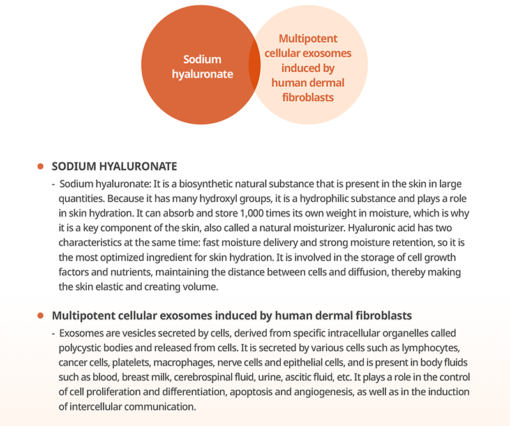 HANHEAL Facial Rejuvenation (Exosomes) - Image 5